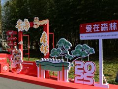 -黄海国家森林公园