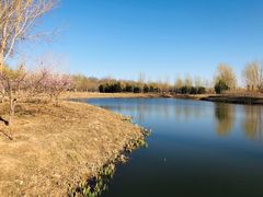 -东郊湿地公园