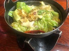 -四季春