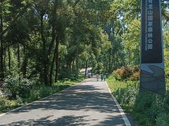 -青龙山国家森林公园