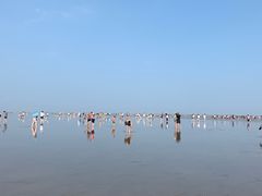 -南汇嘴观海公园