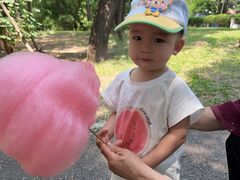 -二一九公园