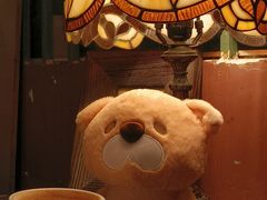 -樹下遇见树·咖啡