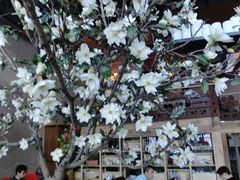 -山有花啡餐厅(常营总店)