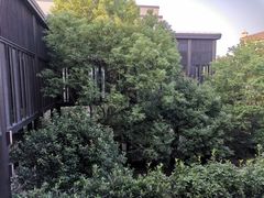 -上海崇明金茂凯悦酒店