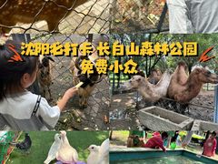 -长白岛森林公园