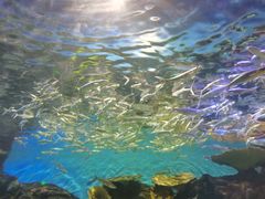 -华夏文旅海洋公园