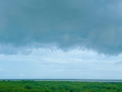 -北海金海湾红树林生态旅游区
