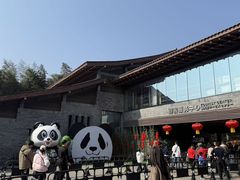 -都江堰中华大熊猫苑