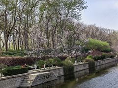 -元大都城垣遗址公园