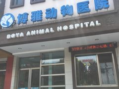 -纳吉亚猫专科动物医院博雅分院