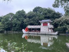 -金花茶公园