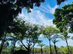 -白鹭洲公园