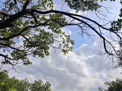 -火炉山森林公园