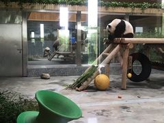 -西安秦岭野生动物园