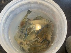 -粮心小农·大头虾亲子生态园(长发店)