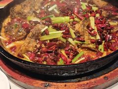 -老板恋上鱼(高新万达店)