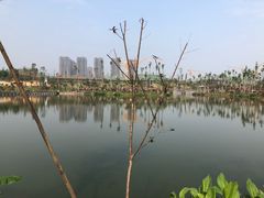 -枫香湖儿童公园