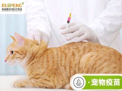 -美联众合动物医院·24h转诊中心