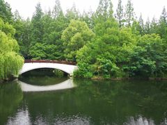 -东平国家森林公园
