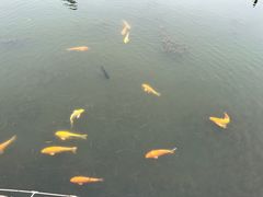 -合肥融创乐园