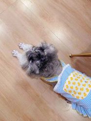 -Adore nail日式美甲美睫