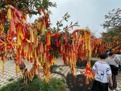 景点-云台山风景名胜区