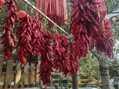 -鱼窝棚柴火铁锅炖(富山屯店)