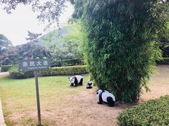 -亚龙湾国际玫瑰谷