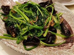 -新粤新疆菜清真餐厅(拱北店)
