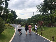 -东莞植物园