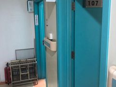 -北京观赏动物医院·24小时大型综合·猫专科·异宠专科