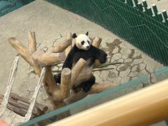-沈阳森林动物园
