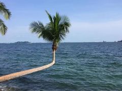 -巴拉湾海滩