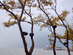 -滇池海埂公园
