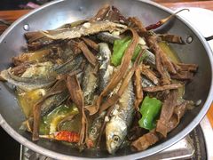 -鱼乐岛餐厅·户外花园主题餐厅