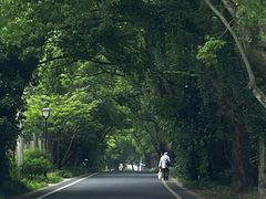 -穹窿山景区