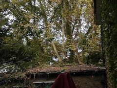 -巴金故居