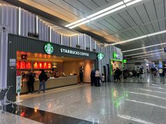 -石家庄正定国际机场-T2航站楼