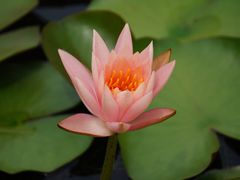 -华南国家植物园-售票处