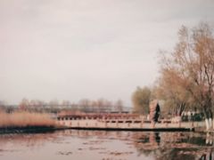 -绿堤公园