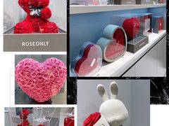 -ROSEONLY诺誓(国际广场购物中心店)