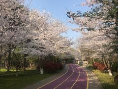 -尚贤河湿地
