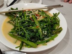 -品泉餐厅·大盆鱼·走地鸡