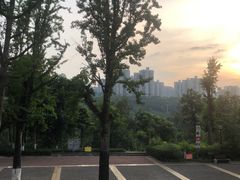-龙头寺公园