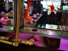 -粗粮人家·东北菜(洋桥店)