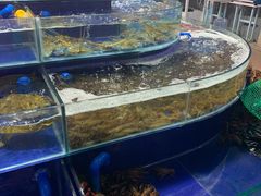 -渔人湾码头海鲜市场负二楼
