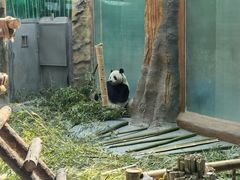 -青藏高原野生动物园