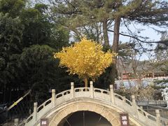 -红螺寺
