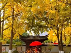 -郑和公园